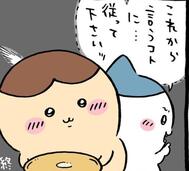 절정 태국