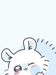 야핏✨