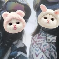 안녕하세요 ☀️