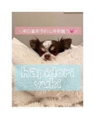 🩵🐻‍❄️ 사랑하는 공주🐻‍❄️🩵
