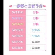 화금🌸