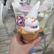 4연근‎🤍1일째 슈류!