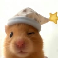 아리가토우 ✌🏻ᴖ ̫ᴖ