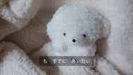 ♡ あした ♡