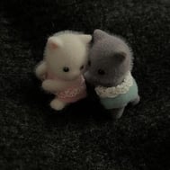 ,,ᴗ ̫ ᴗ,,