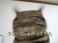내일부터 🪽