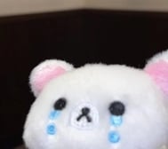 죄송합니다 😭