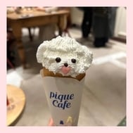 짱짱🐈