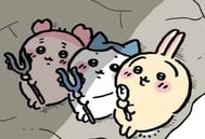 사전예약 매진🈵