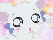 🐹