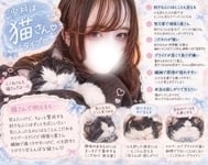 동물 타입... 🐱