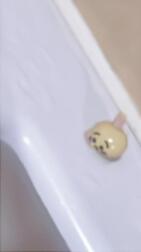 ﾌﾟﾙｬ