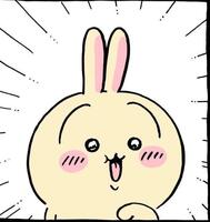 🐰🌟