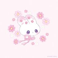 오이♡