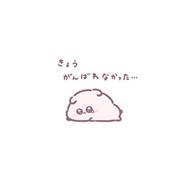 🎀 정말 미안해요 😢♡