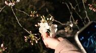졸업🌸