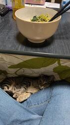 퇴근했습니다.