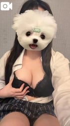 아치타‎🤍
