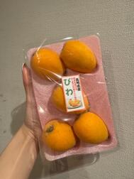 항상