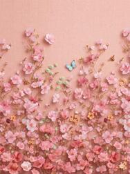 19일 22시ꕀ⋆의 K님🩷🪄