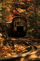 빈 🍁🍂