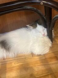 💕
