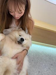 고마워요 좋은 밤