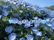 남은 1프레임🥺