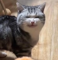 메루 짱 ...///