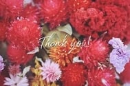 💌🕊