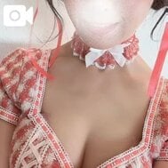 고양이 하루 ☘️