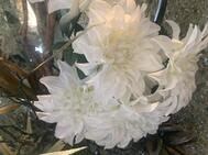 🌙