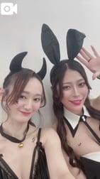 히비키 🩷