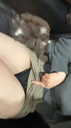 감사합니다🌼