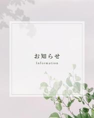 추파추파///❤️