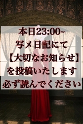 [오늘 23:00~의 사진 메일기를 반드시 읽어 주세요]
