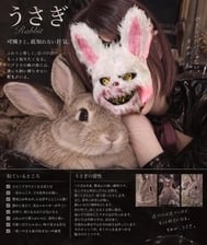 [가련함과 바닥 모르는 광기]