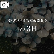 카운트다운