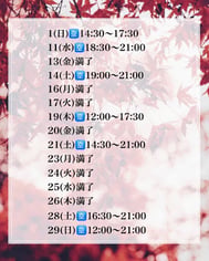 [11월] 안내 가능 일시🍁 예약은 서둘러✉️