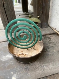 여름 기색