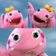 키타 키타 키타!