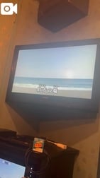 💟마늘 마리