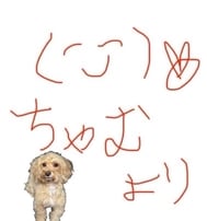 💟오와와