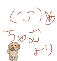 💟오와와