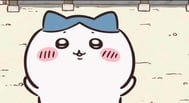 많이 먹는 여자( ơ ᴗ ơ)