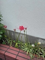 멋지다.