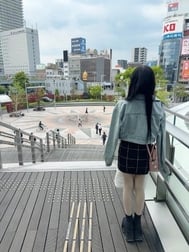 ⸜🌷︎⸝‍47 도도부현 여행~기후편~