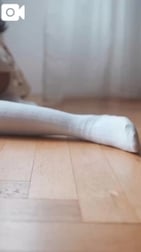 ⸜🌷︎⸝‍ 다음 10:45부터