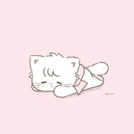 이용후기 ❣️👯‍♀️