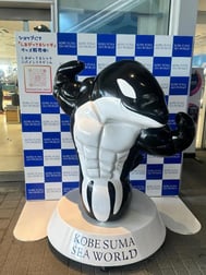 죄송합니다 🙇🏻‍♀️